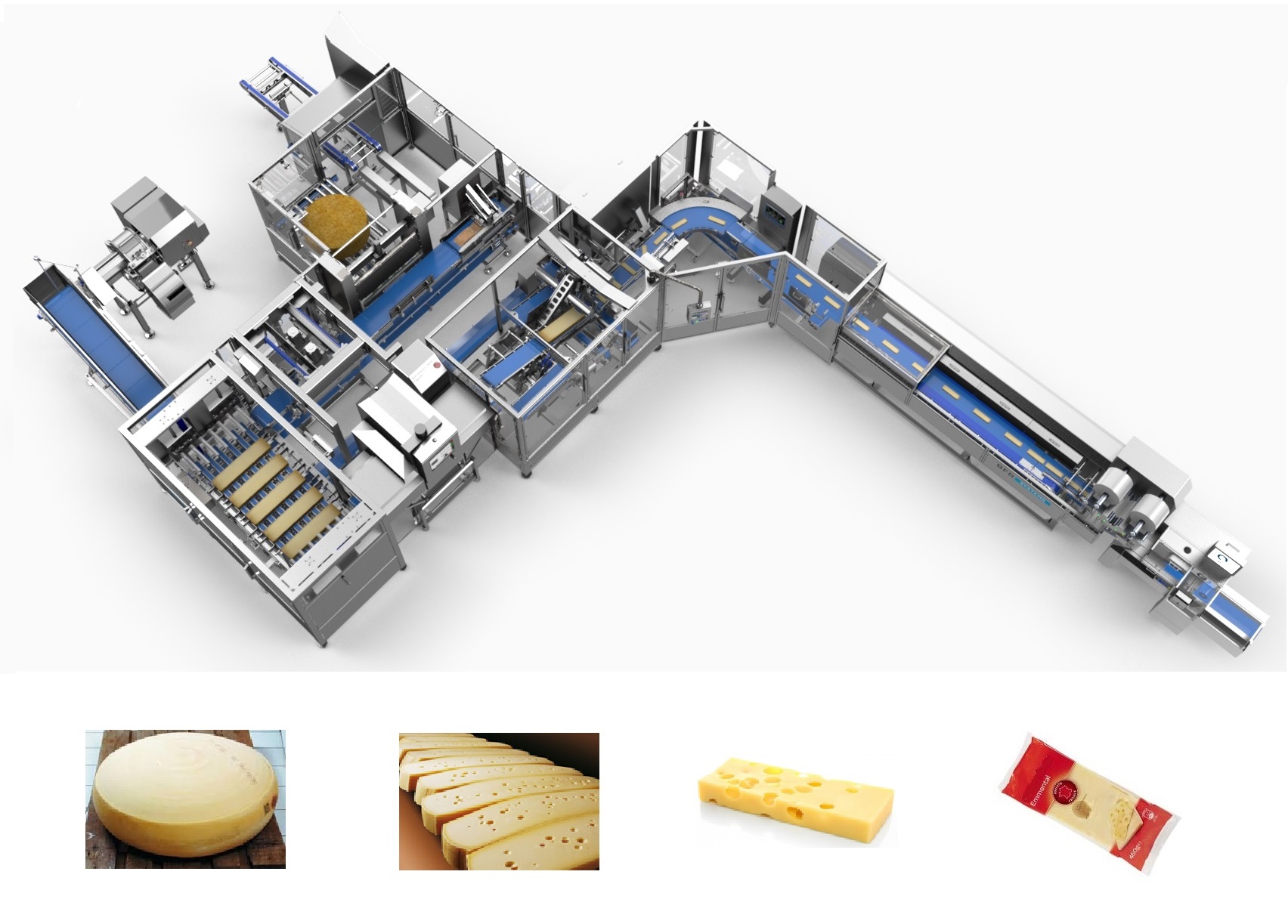 Exact weight cutting line for Emmental- ERMA LPF 100F