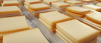 Ligne de découpe de fromage rond en tranchette - ERMA 11000 TR