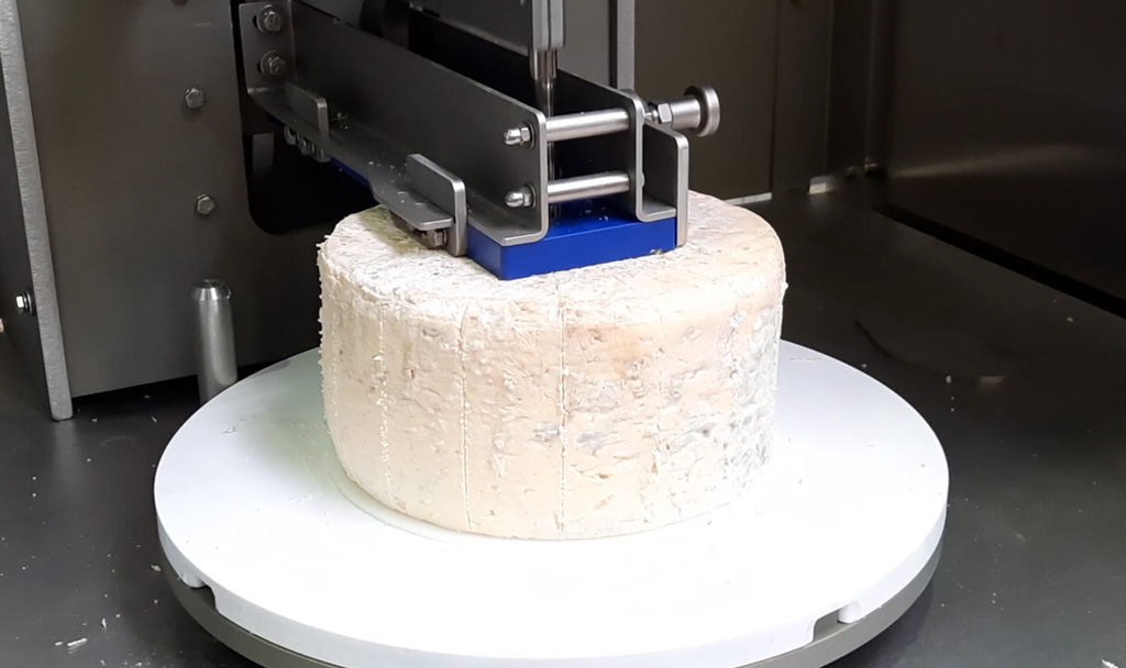 Fromage bleu découpe a ultrason Erma 30F